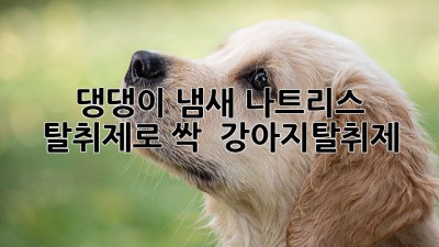 🐶 댕댕이 냄새, 나트리스 탈취제로 싹! ✨ [강아지탈취제]