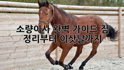 📦 소량이사 완벽 가이드: 짐 정리부터 이삿날까지! 🚀