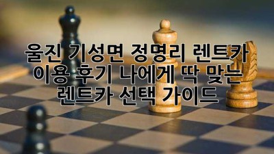 울진 기성면 정명리 렌트카 이용 후기: 나에게 딱 맞는 렌트카 선택 가이드